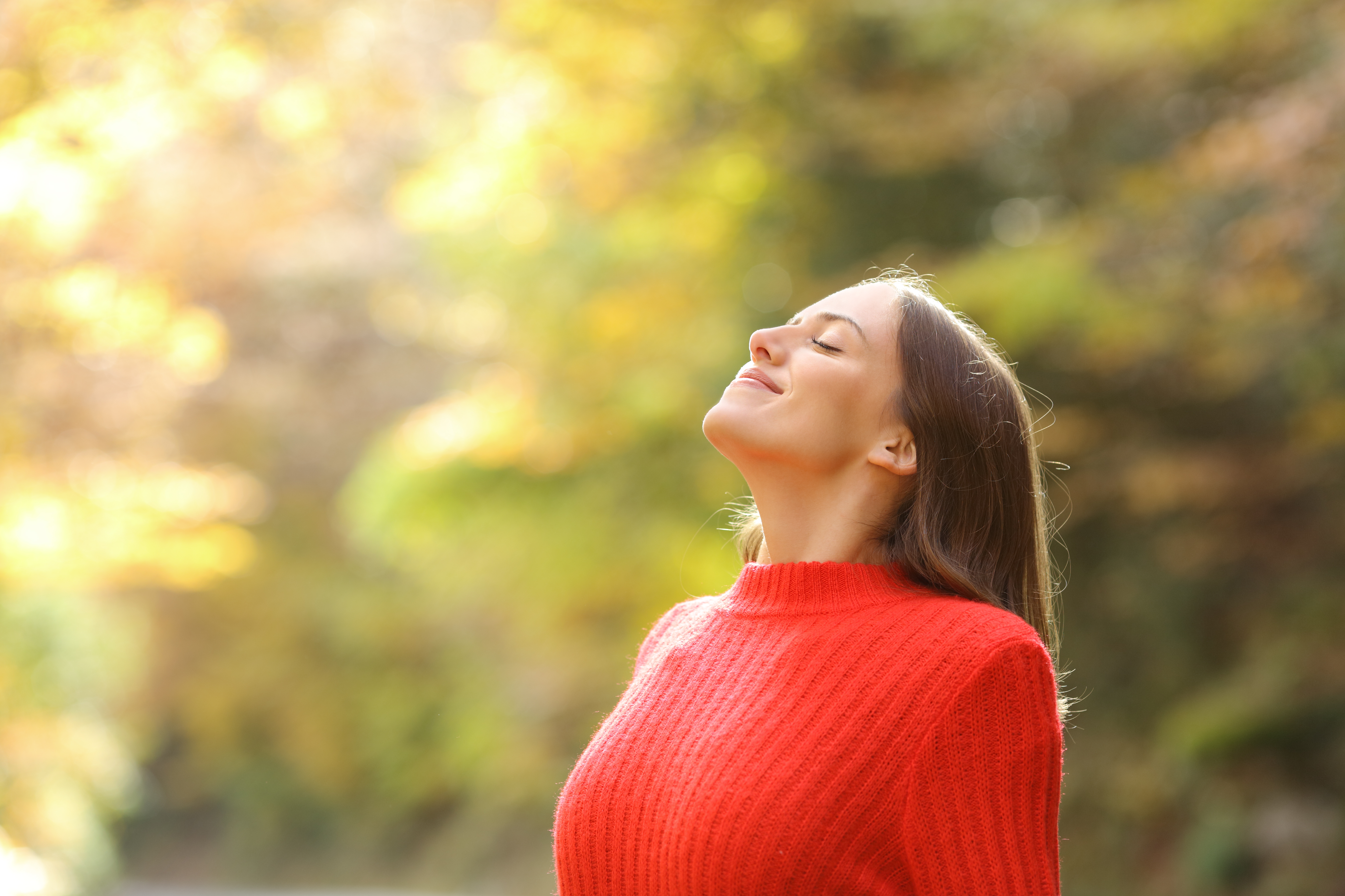 naturopathie les graines de courges