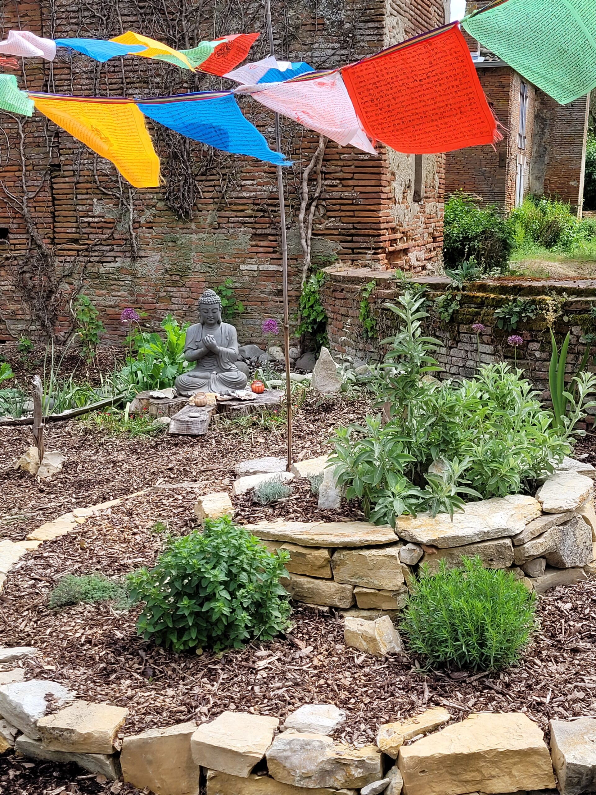 kateri-Jouveaux-naturopathie-jardin-plantes-medicinales-2