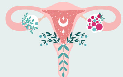 Accompagnement du syndrome des ovaires polykystiques avec la naturopathie