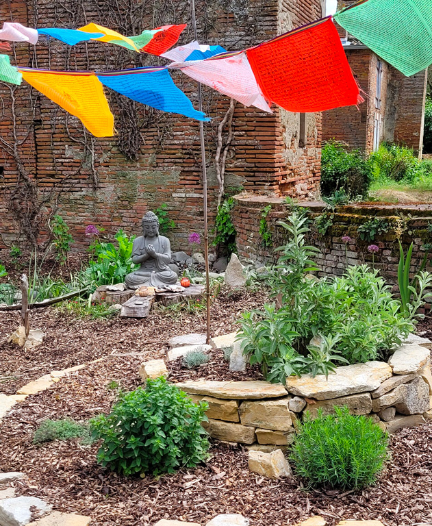 mon-jardin-plantes-medicinales